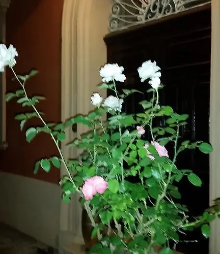 Storica Calderino * Monte San Pietro