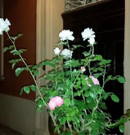 Storica Calderino * 몬테산피에트로