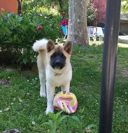 Storica Calderino * Monte San Pietro