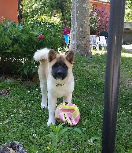 Storica Calderino * Monte San Pietro